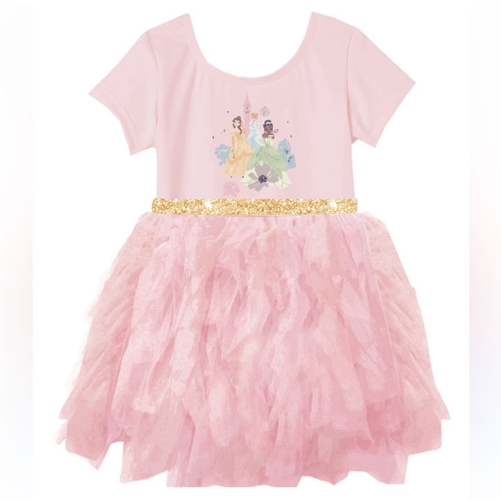 Disney Princess Pink and Gold Dance Costume